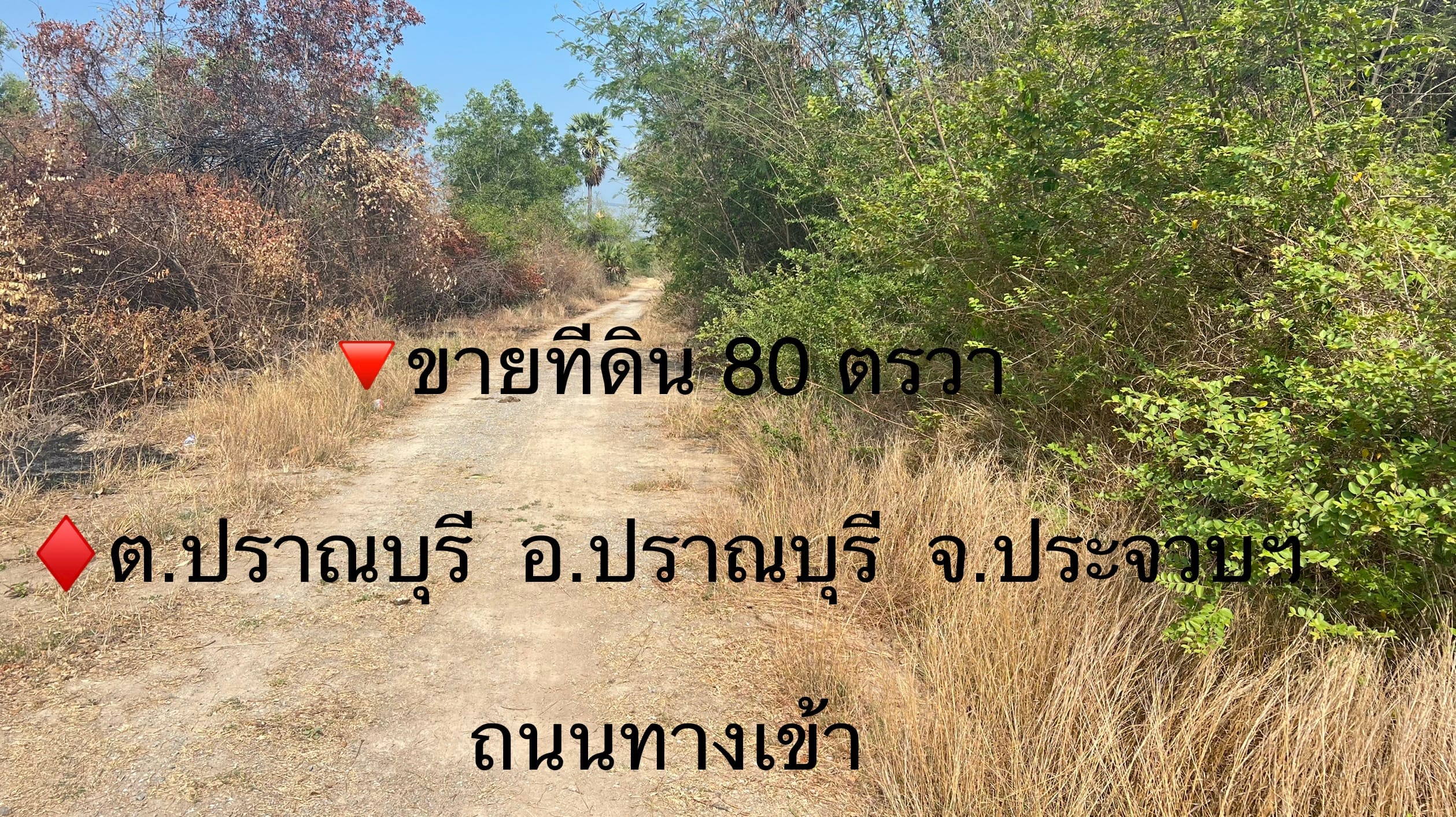 ขายที่ดินเปล่า 80 ตรว.  ปราณบุรี ประจวบคีรีขันธ์ 
