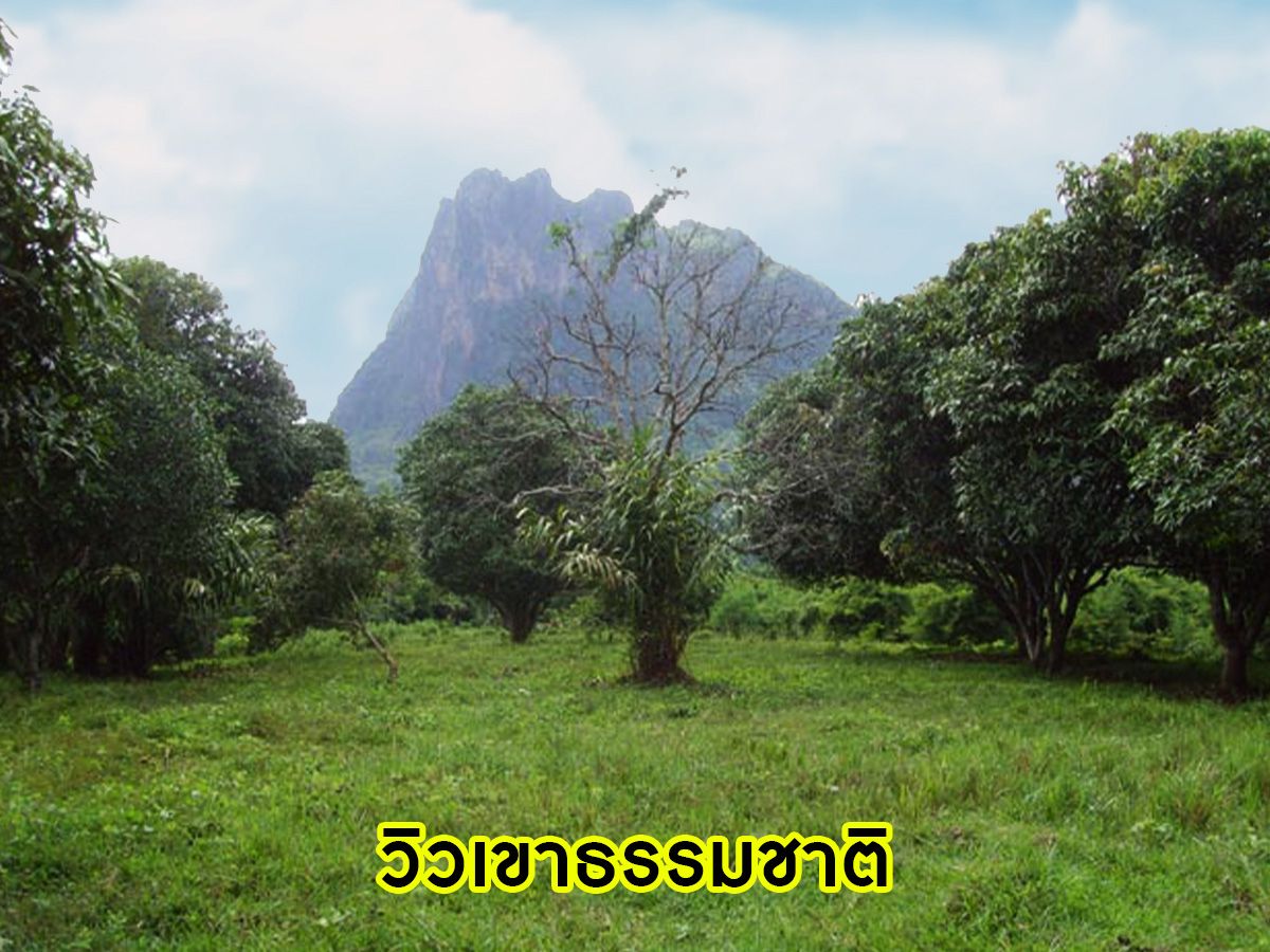 พลาดไม่ได้ !! ที่ดินผืนใหญ่ ติดแม่น้ำสองด้าน ใกล้สถานที่ท่องเที่ยวภูกระดึง เนื้อที่ 61 ไร่ 1 งาน 67 ต.ร.ว มีสิ่งอำนวยความสะดวก ใกล้แหล่งท่องเที่ยว