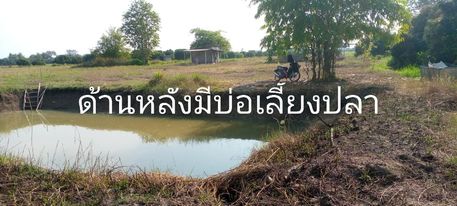 ที่ดิน 1 งาน หางดง เชียงใหม่