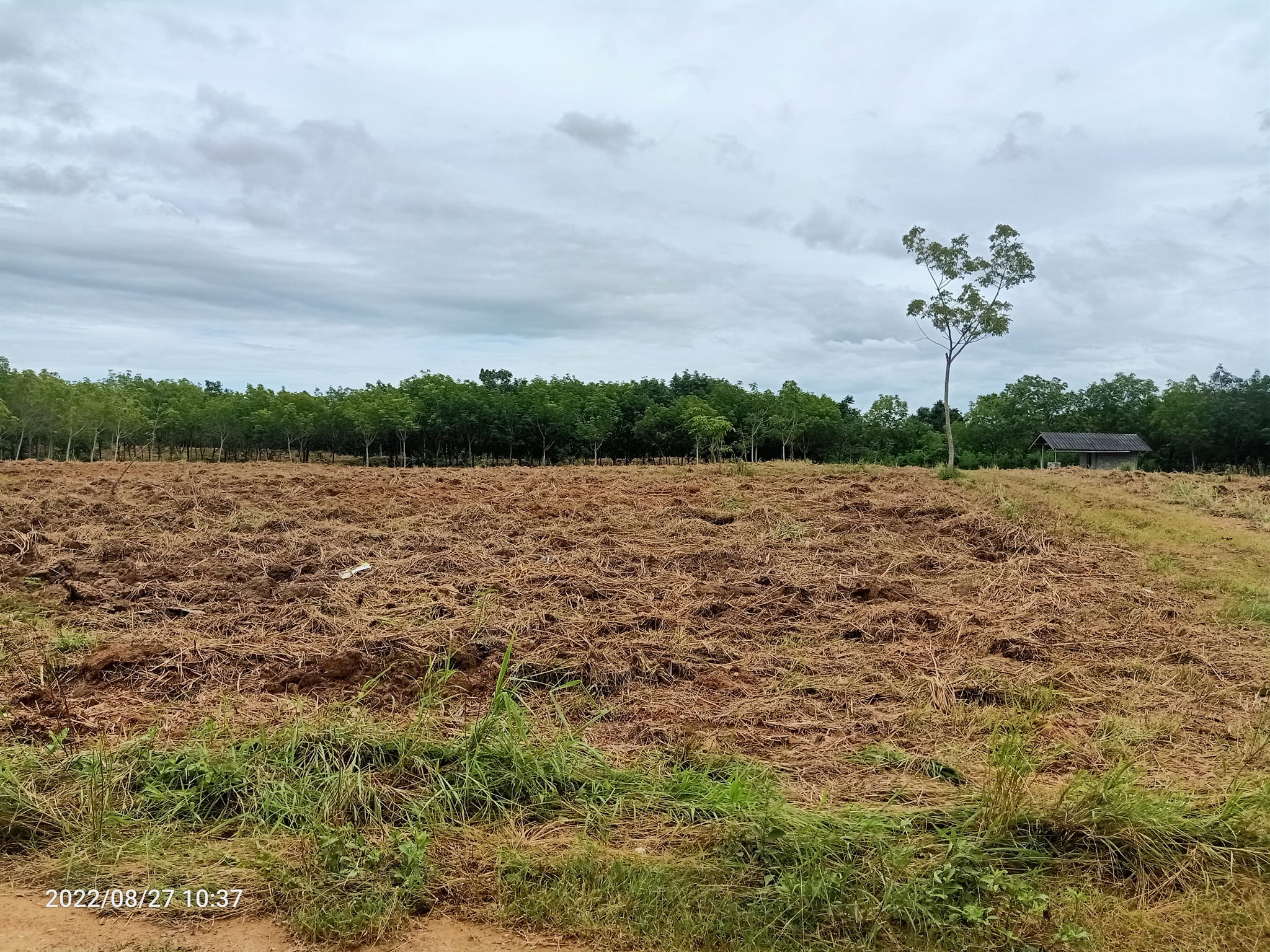 ขายที่ดินประจวบคีรีขันธ์ เมืองประจวบคีรีขันธ์ 33-2-19.4 ไร่