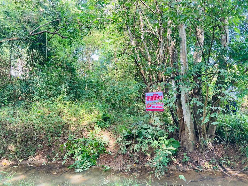 ขายที่ดิน ลำปาง 1-1-37 ไร่