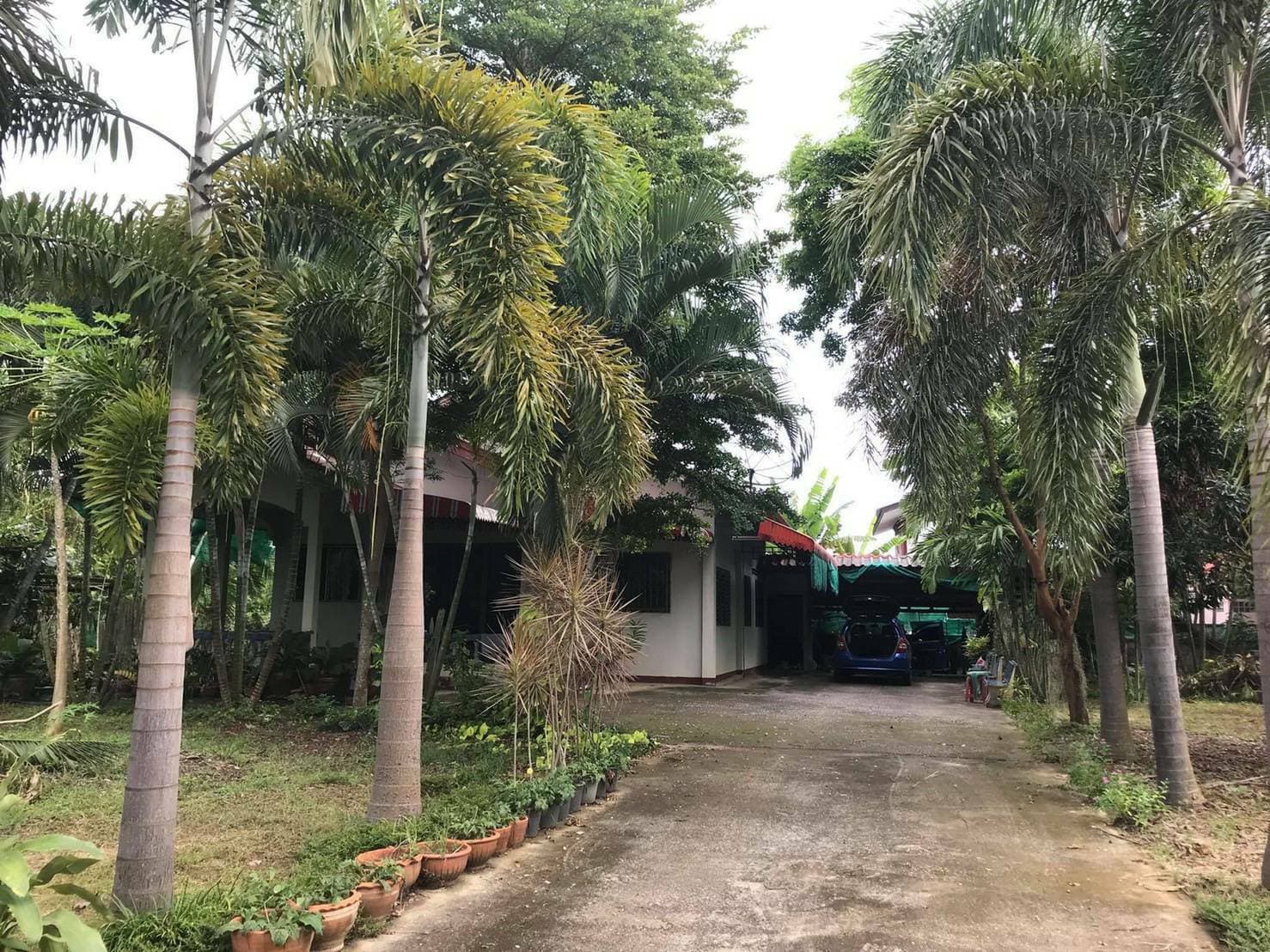 บ้านพร้อมที่ดิน อ.เทิง จ.เชียงราย
