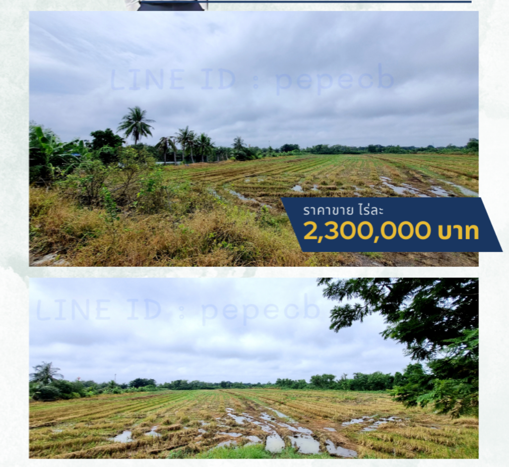 ที่ดินติดถนน ซอยคลองหนึ่ง ตำบลทวีวัฒนา ไทรน้อย นนทบุรี