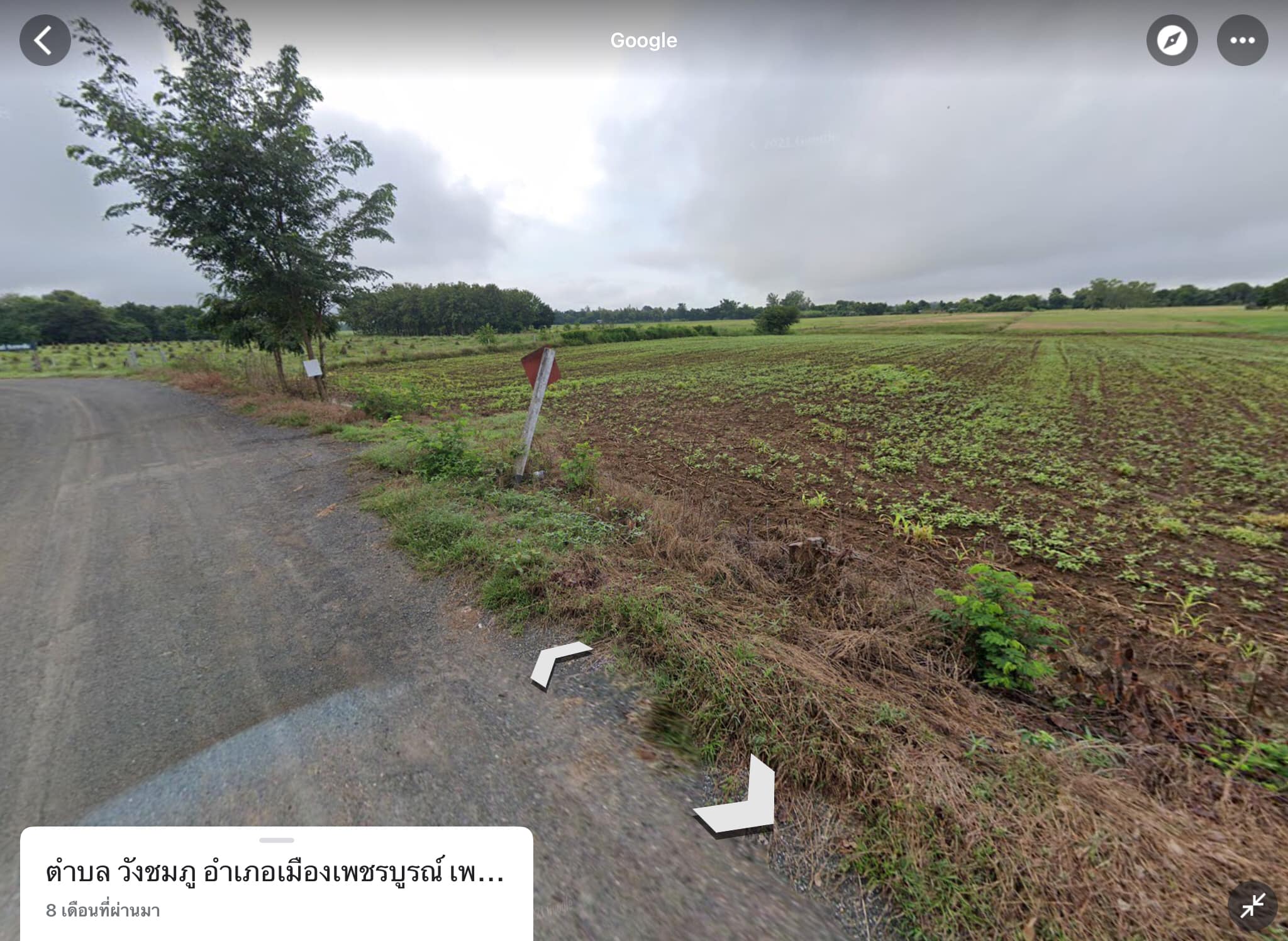 ที่ดินเปล่า เมืองเพชรบูรณ์ 5-3-45.4