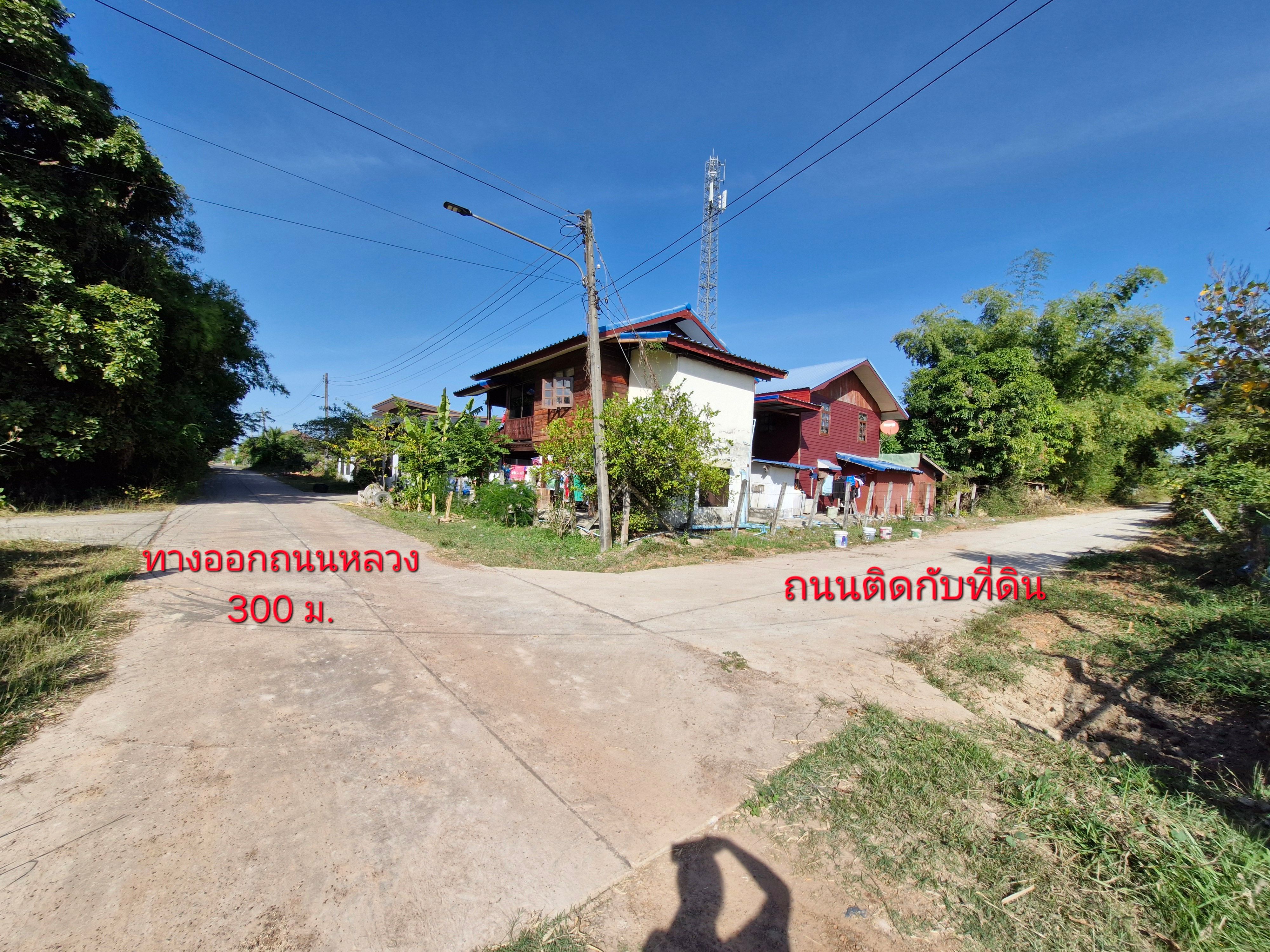 ขายที่ดินสวน