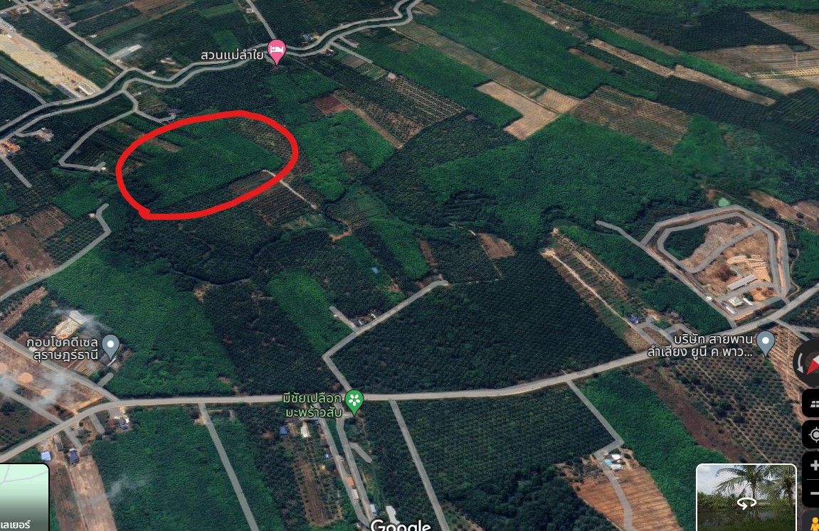 ขายที่ดินสุราฎร์ธานี ที่ดินเกษตร เมืองสุราษฎฯ 5-3-71.1 ไร่.