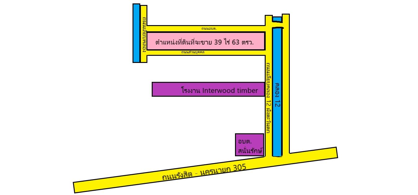 ขายที่ดิน 39 ไร่ คลอง 12 หนองเสือ ติดถนน 4 ด้าน พร้อมสวนปาล์ม