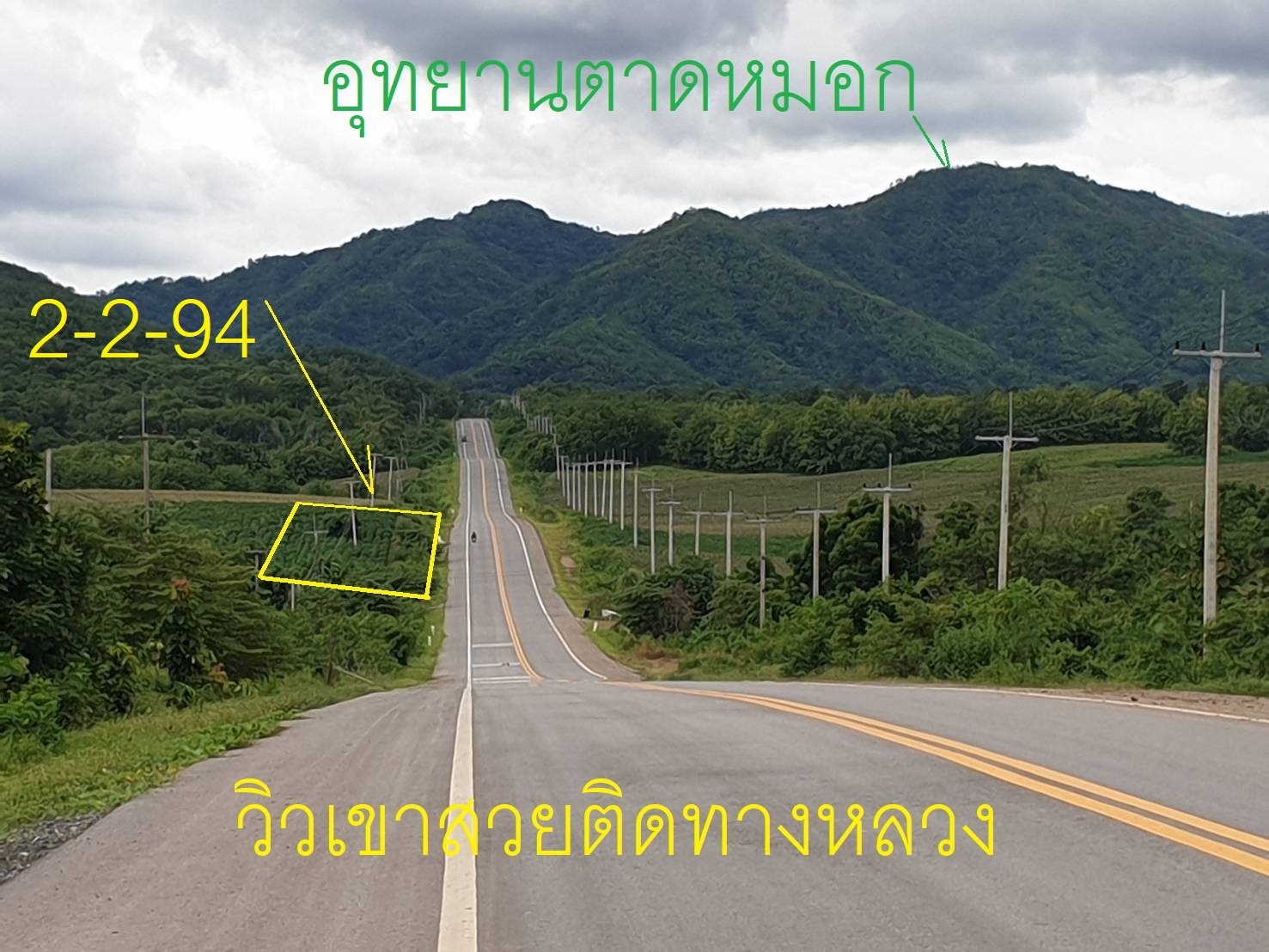 ที่ดินสวนมะขามหวาน เพชรบูรณ์ 2-2-94