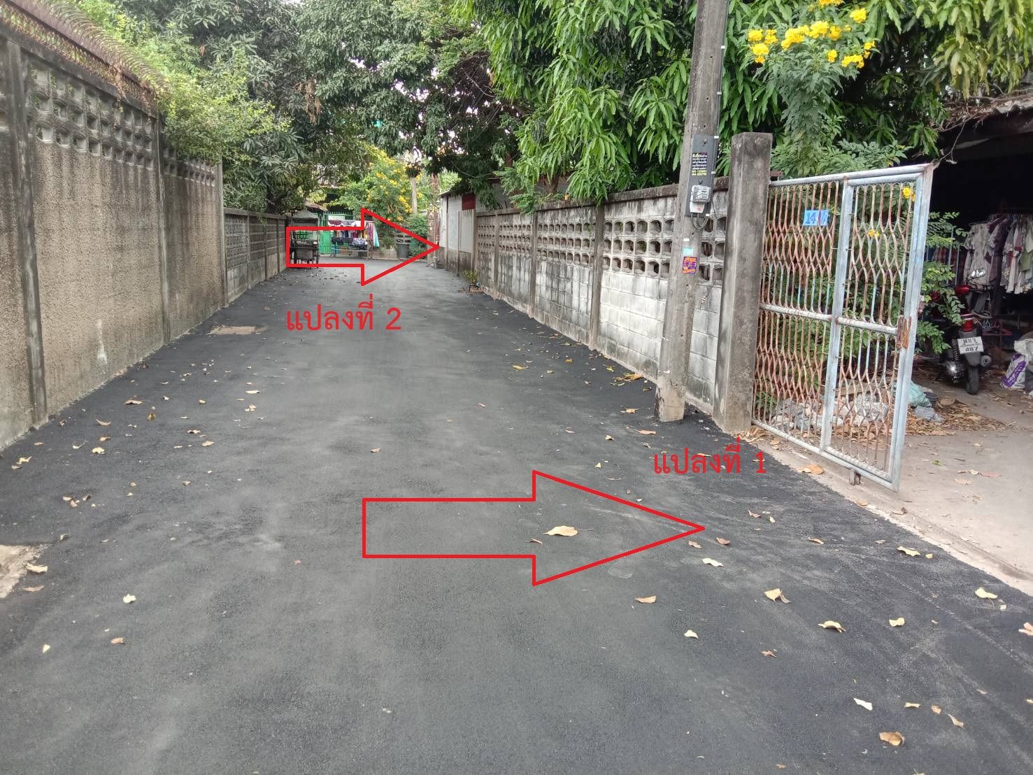 ขายที่ดินพร้อมบ้านสองชั้น(เก่า) 301 ตรว. ซ.รัชดา 36 (เสือใหญ่อุทิศ)  2  แปลงติดกัน 