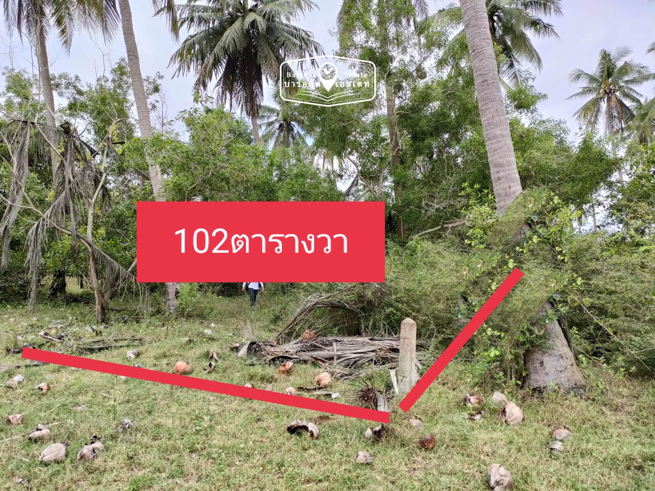ขายด่วน ราคาถูก ที่สวยห่างจากทะเลเพียง 80 เมตร  จ. ประจวบคีรีขันธ์ 