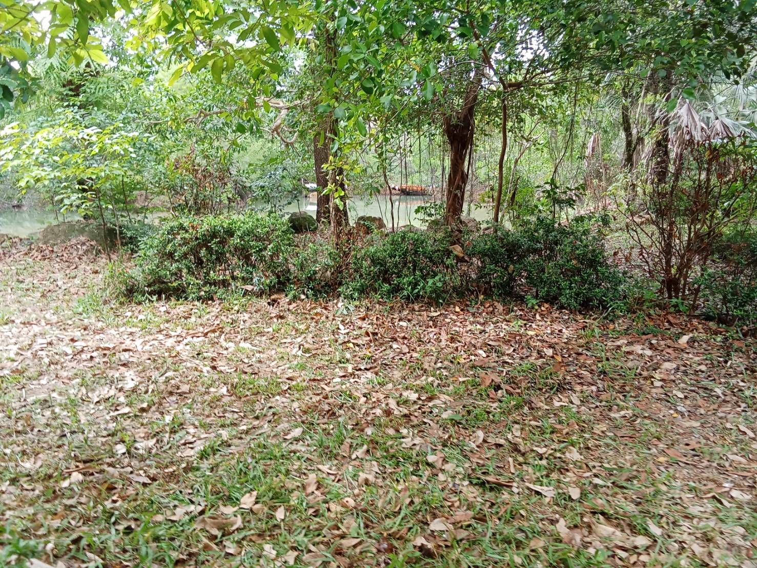 ขายที่ดินเกาะช้าง ตราด ที่ดินทำเลสวย บรรยากาศดี 5-1-72.5 ไร่.