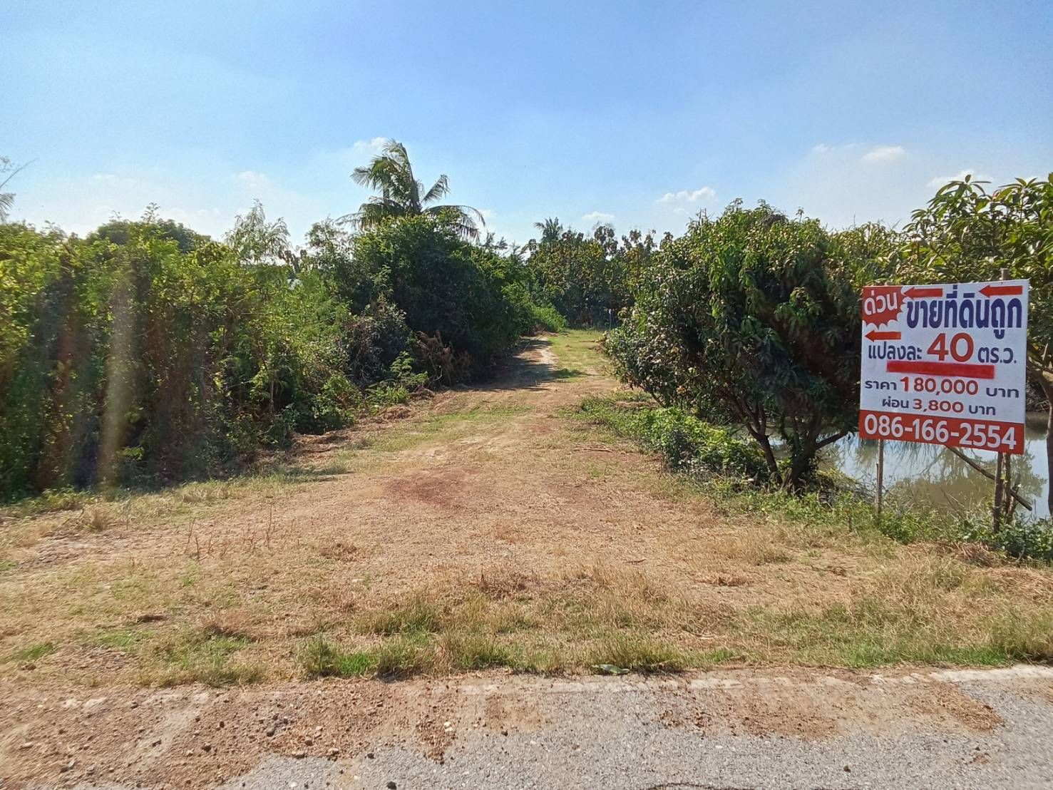 🎯 โอกาสทองของคนอยากมีที่ดิน! แปลงเล็ก ผ่อนสบาย ใกล้กำแพงแสน 🌿 ไม่ต้องกู้ธนาคาร ❌ ผ่อนตรงกับเจ้าของได้เลย ✅ ที่ดินสวย ทำเลดี ราคาหลักแสนต้นๆ หาแบบนี้ยากมาก!