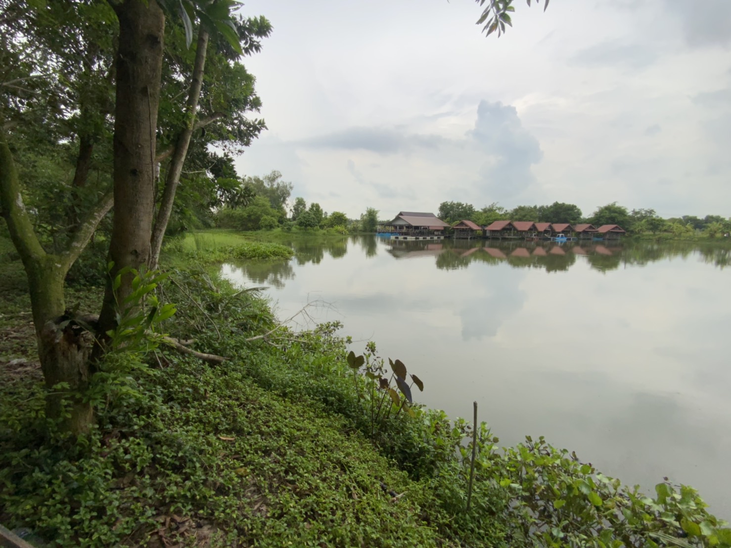 ร้านอาหารระเบียงเคียงนา ติดหมู่บ้านสร้างใหม่ 9-2-37