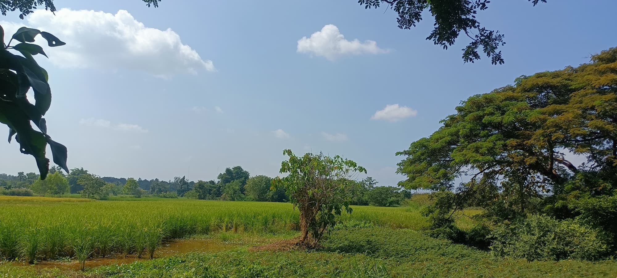 ขายที่ดินลำปาง เมืองลำปาง 9-3-32