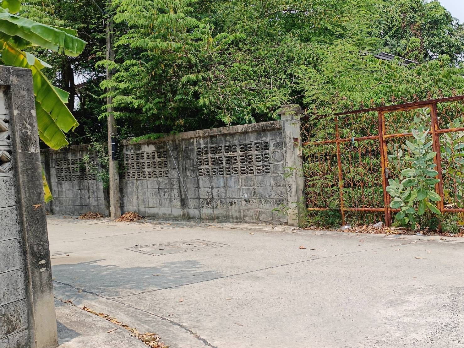 ขายที่ดินสระบุรี ที่ดินพร้อมสิ่งปลูกสร้าง ติด ซ.5 ถนนพหลโยธิน ใกล้ รร.เทศบาล 6 วัดเชิงเขา เมืองสระบุรี 0-1-77