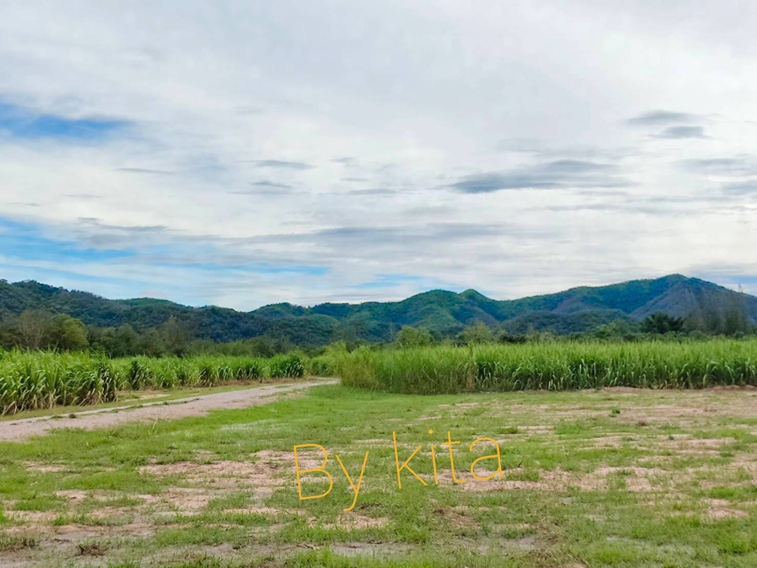 ที่ดินเปล่า เพชรบุรี 29-2-93
