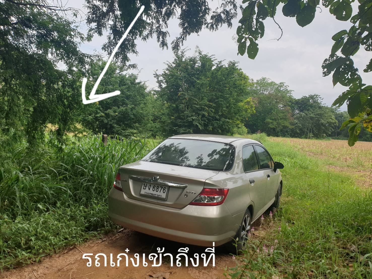 ที่ดินเปล่า อ.เมืองเพชรบูรณ์ จ.เพชรบูรณ์ 5-1-74 ไร่