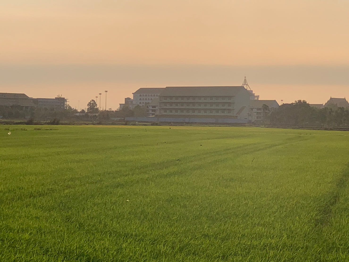 ขายด่วน ที่ดินหลังมอเตอร์เวย์บางปะอิน-โคราช  เจ้าของขายเอง