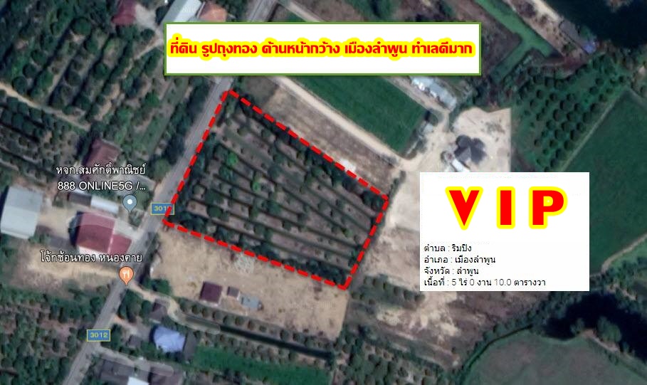ที่ดินเปล่า ลำพูน 5-0-10