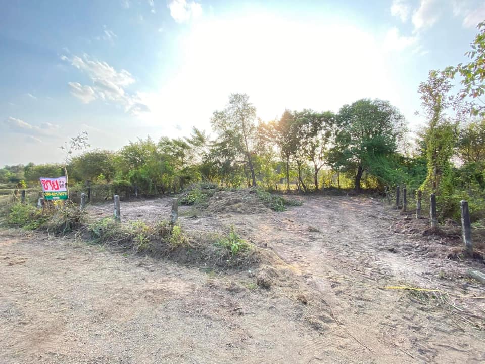 ที่ดิน 100 ตร.วา บ้านหัวคำ อุบลราชธานี