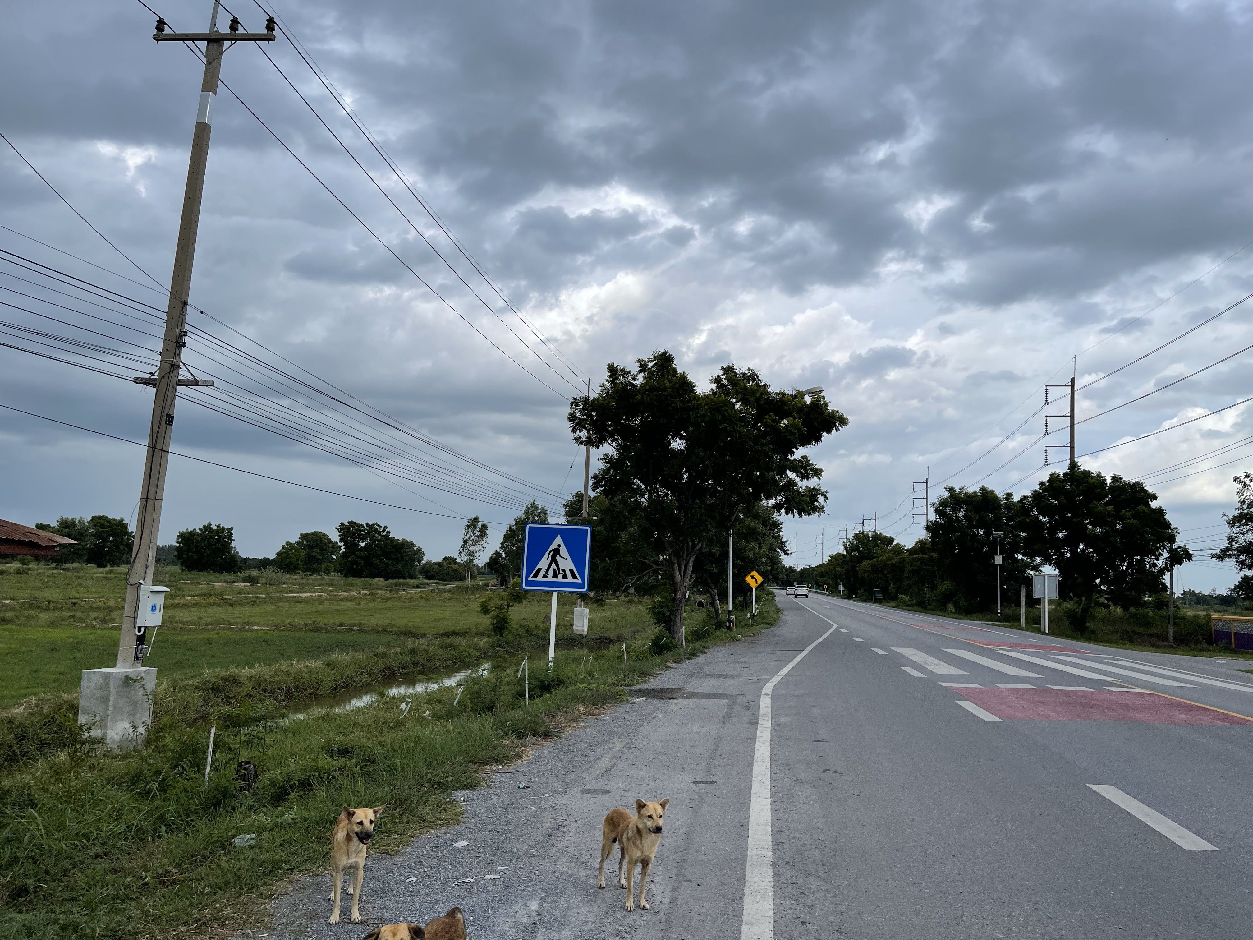 ขายที่ดินสุพรรณฯ ดอนเจดีย์ ที่ดินติดทางหลวง 3264  84-2-34 ไร่.