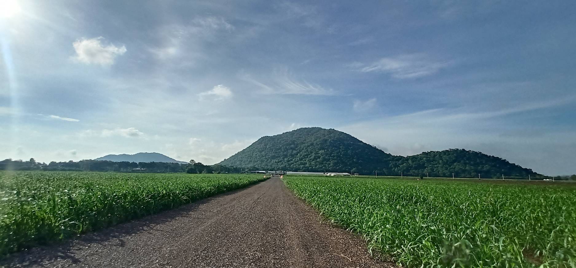 ขาย ที่ดิน วิวเขา ถูกมาก มีน้ำไฟ ตากฟ้า นครสวรรค์