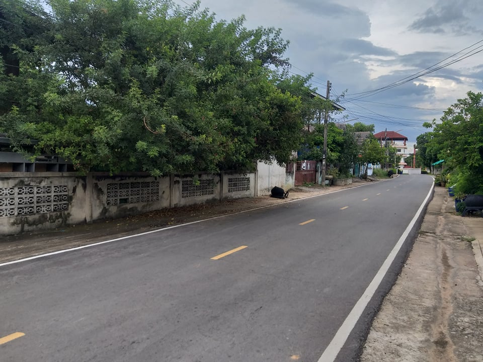 บ้านไม้เดี่ยว 2 ชั้น เมืองขอนแก่น 0-1-20.3