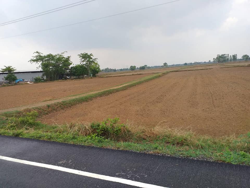 ขายที่ดิน มหาสารคาม 6-0-11 ไร่