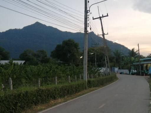 ที่ดิน กลางดง อ.ปากช่อง