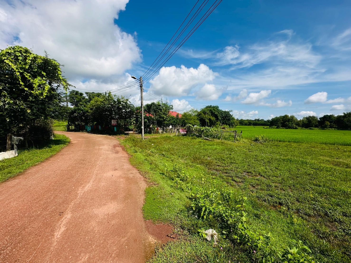 ขายที่ดินหนองคาย อำเภอเมือง ที่ดินทำเลสวย ราคานี้หาได้ยาก ใกล้แหล่งอำนวยความสบายรอบด้าน ใกล้แม็คโคร หนองคาย เหมาะลงทุนมาก 9-1-40 ตารางวา.