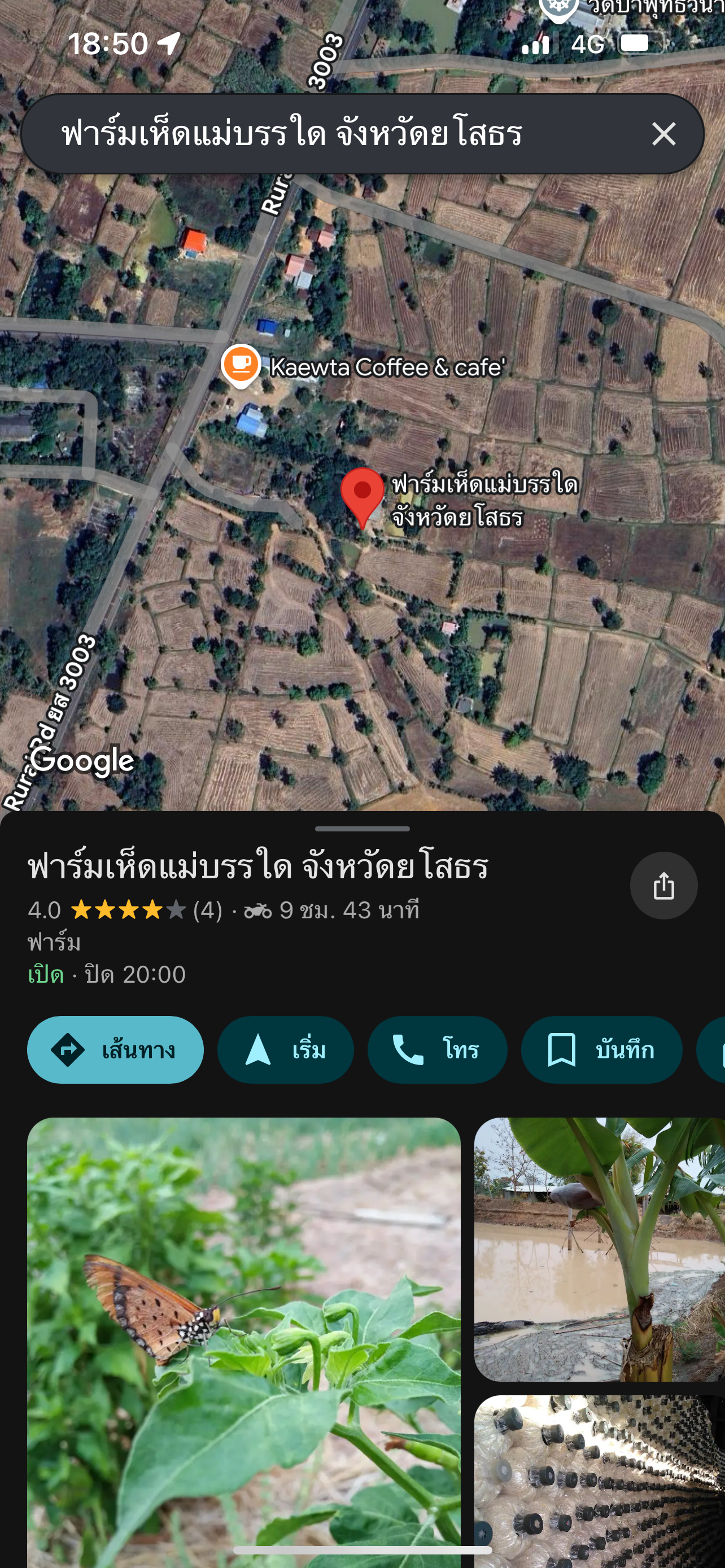 ขายที่ดินยโสธร อำเภอไทยเจริญ