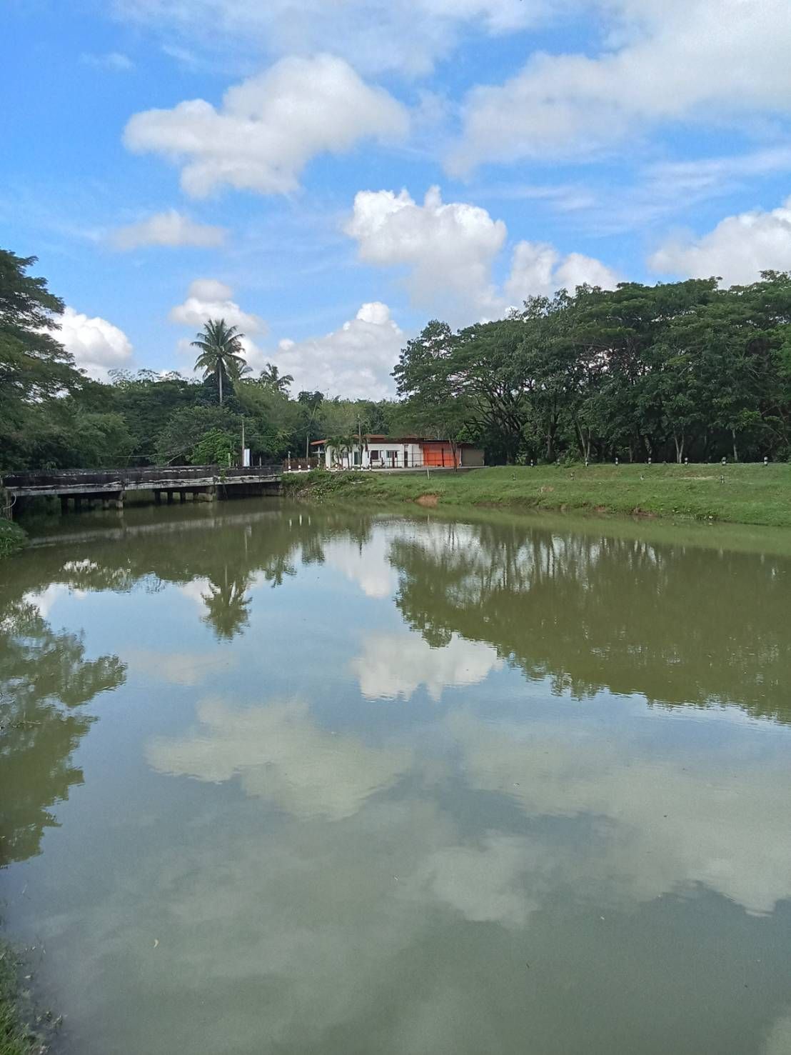 ขายที่ดินนครศรีธรรมราช ที่ดินพร้อมบ้าน น่าลงทุน ท่าศาลา นครศรีธรรมราช 4-1-29