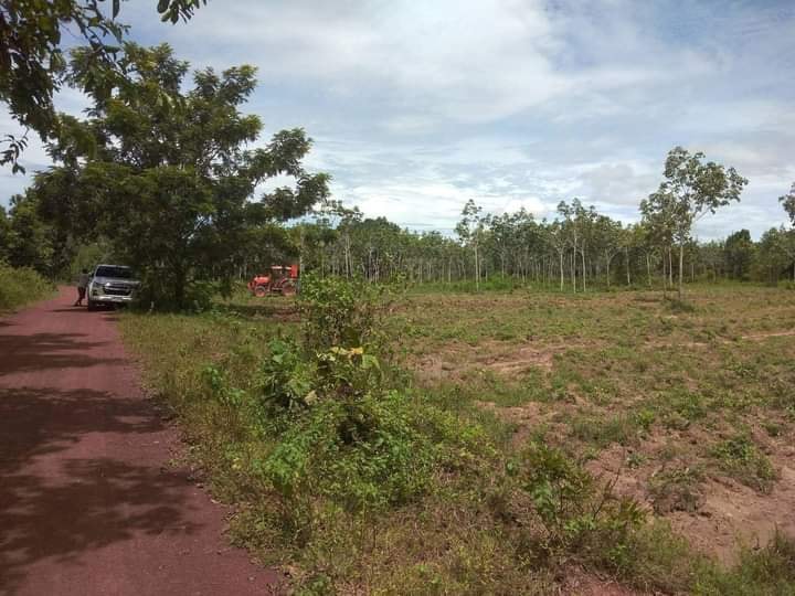 ขายที่ดิน อำเภอเพ็ญจังหวัดอุดรธานี 8-0-20 ไร่