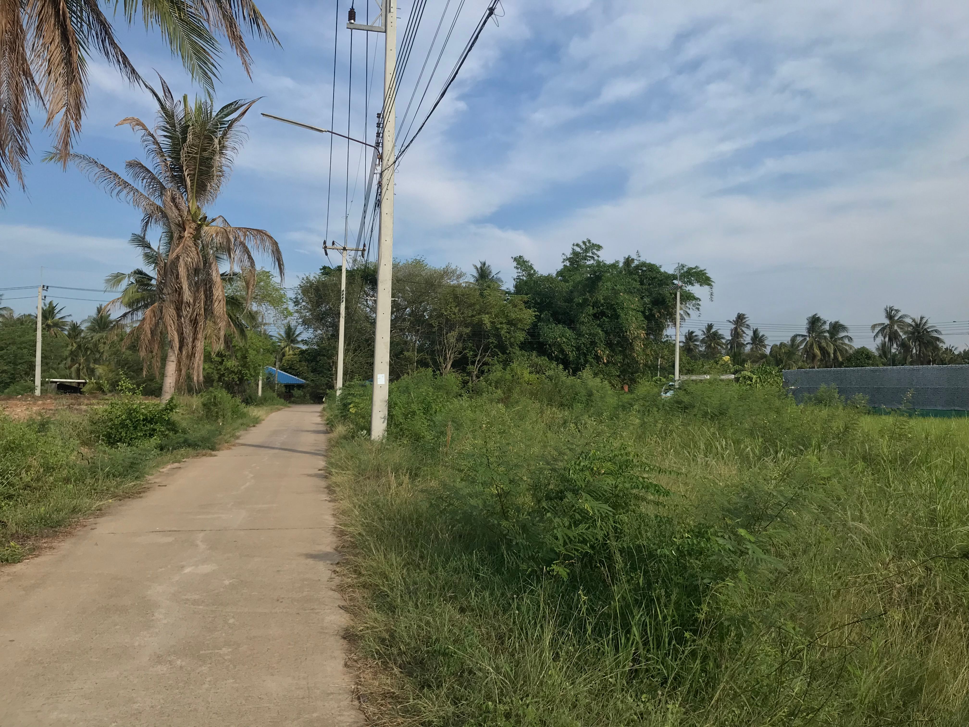 ขายที่ดิน ประจวบคีรีขันธ์ ปราณบุรี