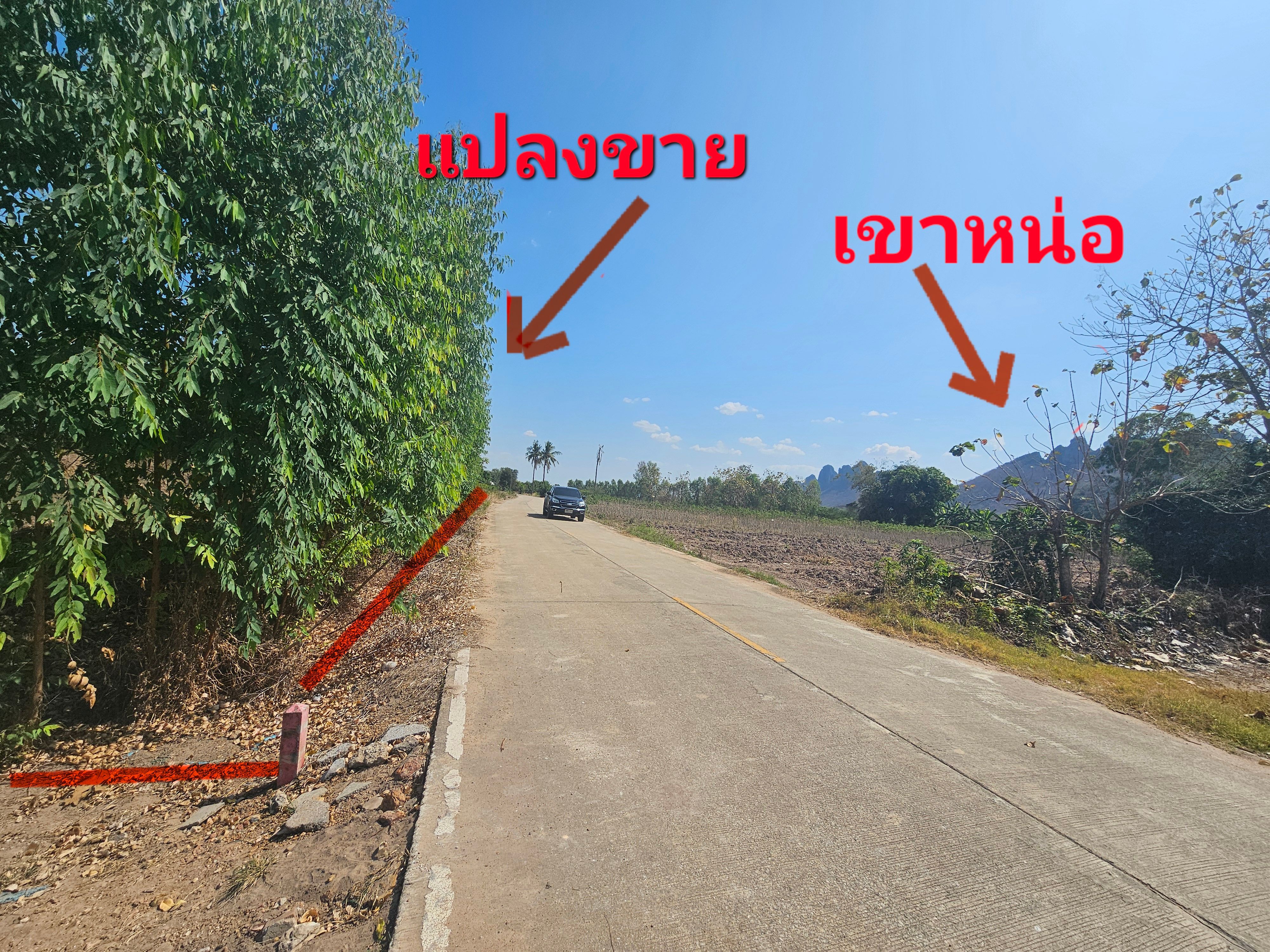 ขายที่ดินนครสวรรค์ บรรพตพิสัย หลังเขาหน่อ
