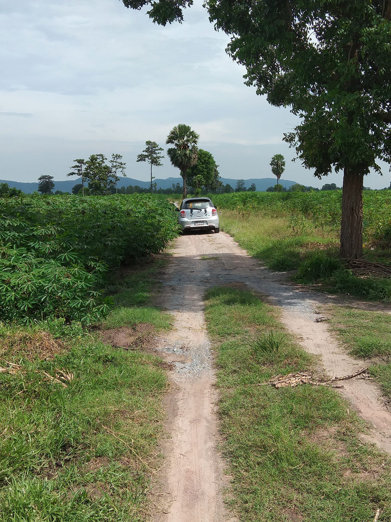 ขายที่ดิน สุพรรณบุรี 3-0-0