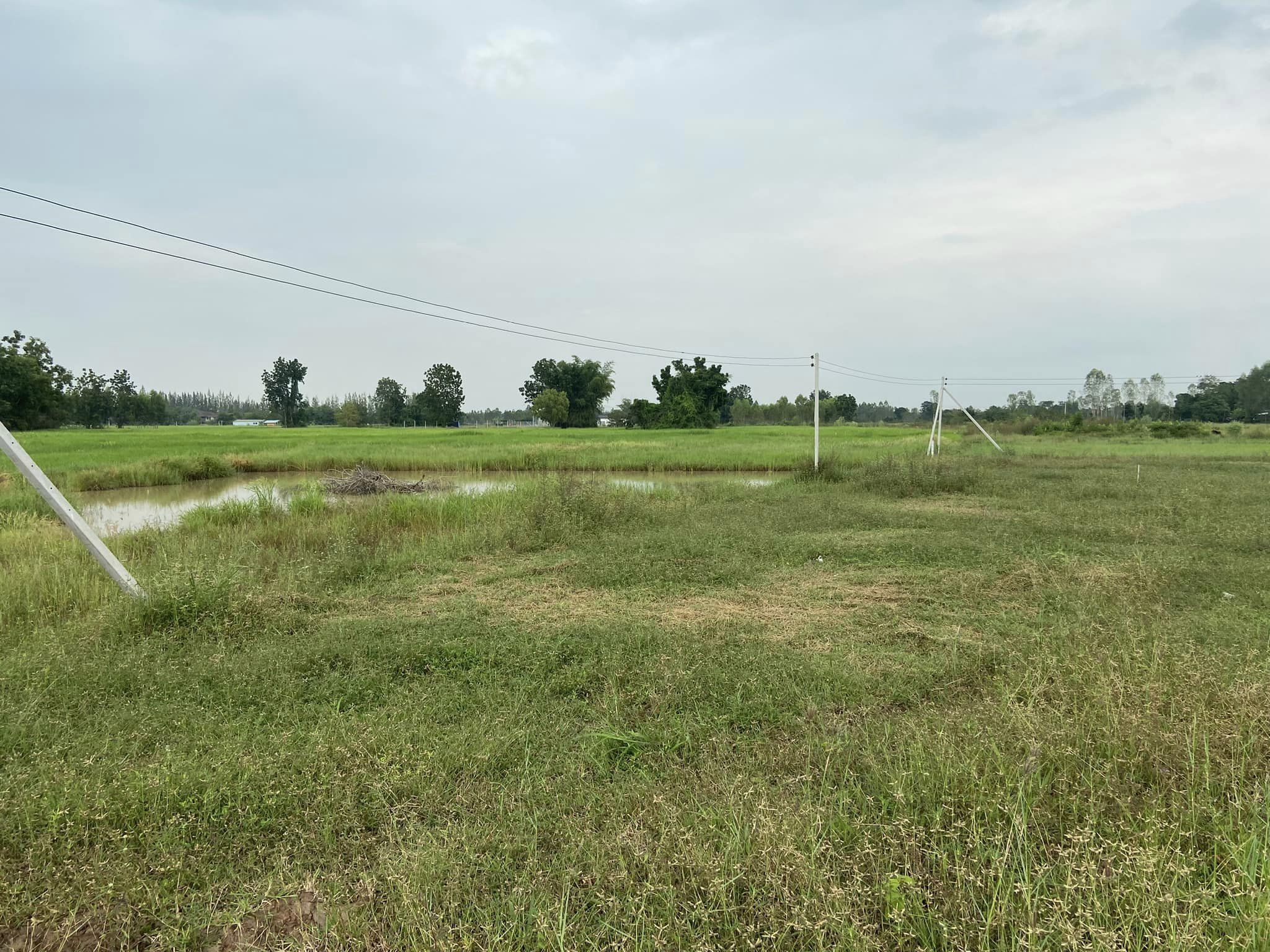 ขายที่ดินราชบุรี จอมบึง 1-0-0