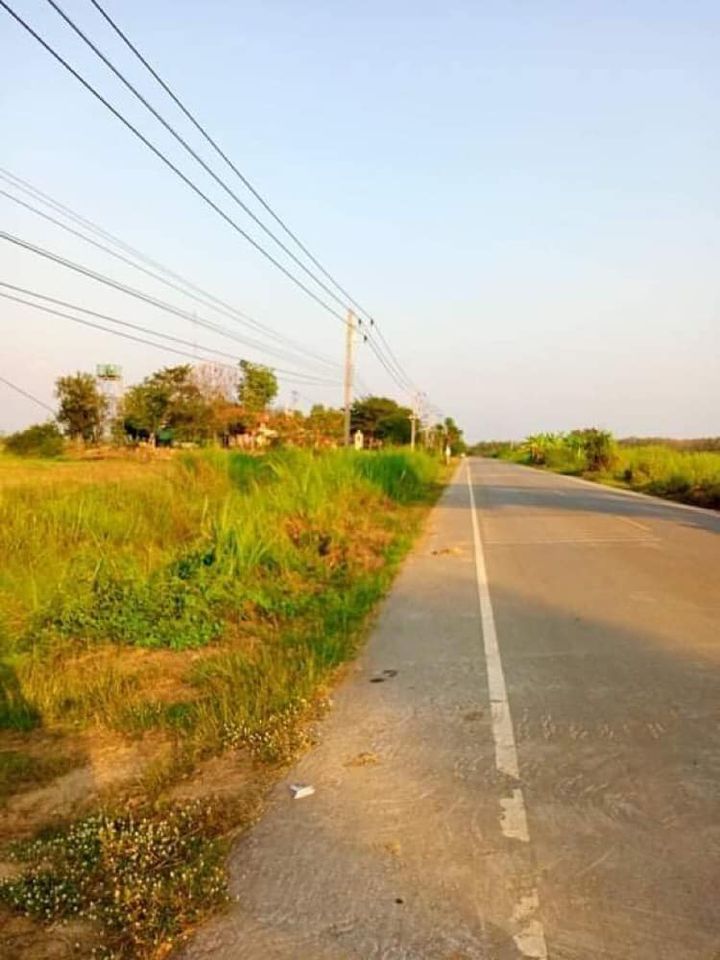 ที่ดิน ต.เกาะตาเลี้ยง อ.ศรีสำโรง จ.สุโขทัย 4-1-96 ไร่