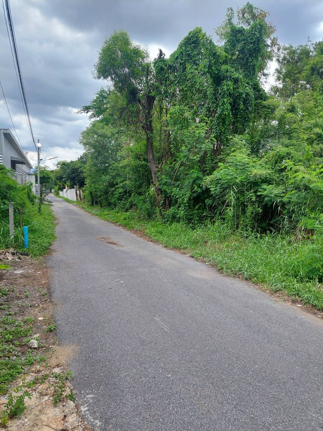ขายที่ดินเปล่า 194 ตร.ว ซอยรามอินทรา 14 แยก 1 ใกล้รพไฟฟ้าสถานีมัยลาภ