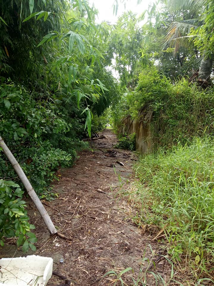 ขายที่ดินเปล่า อ.เมืองอุดรธานี จ.อุดรธานี 310 ตร.ว.