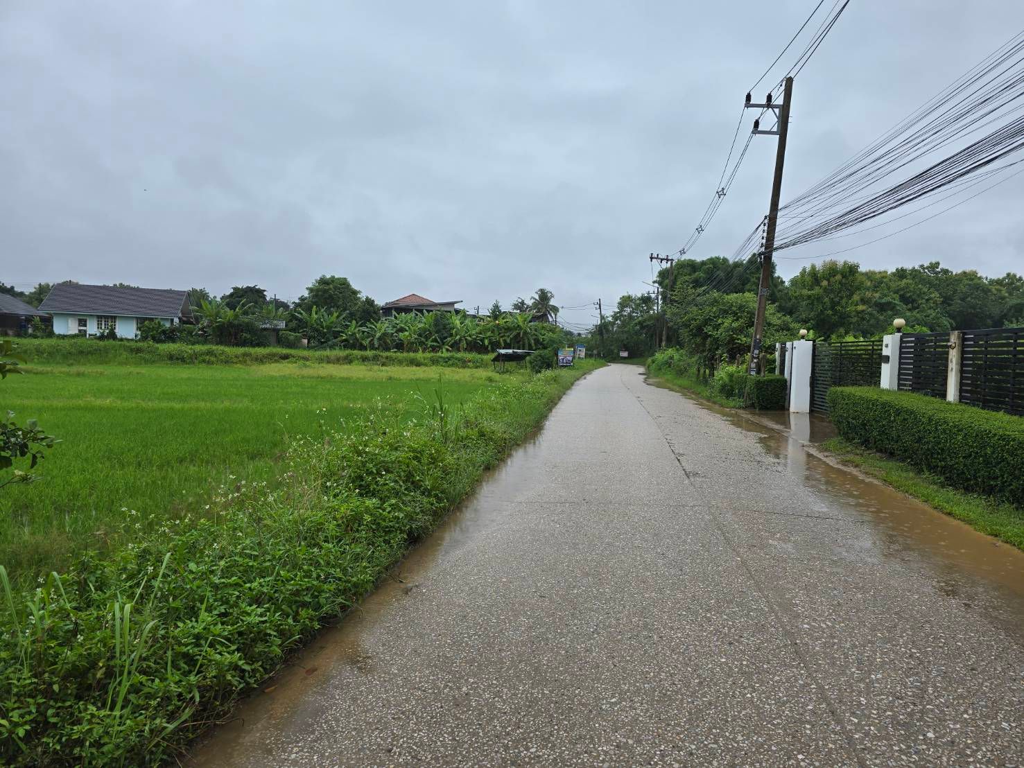 ขายที่ดิน
