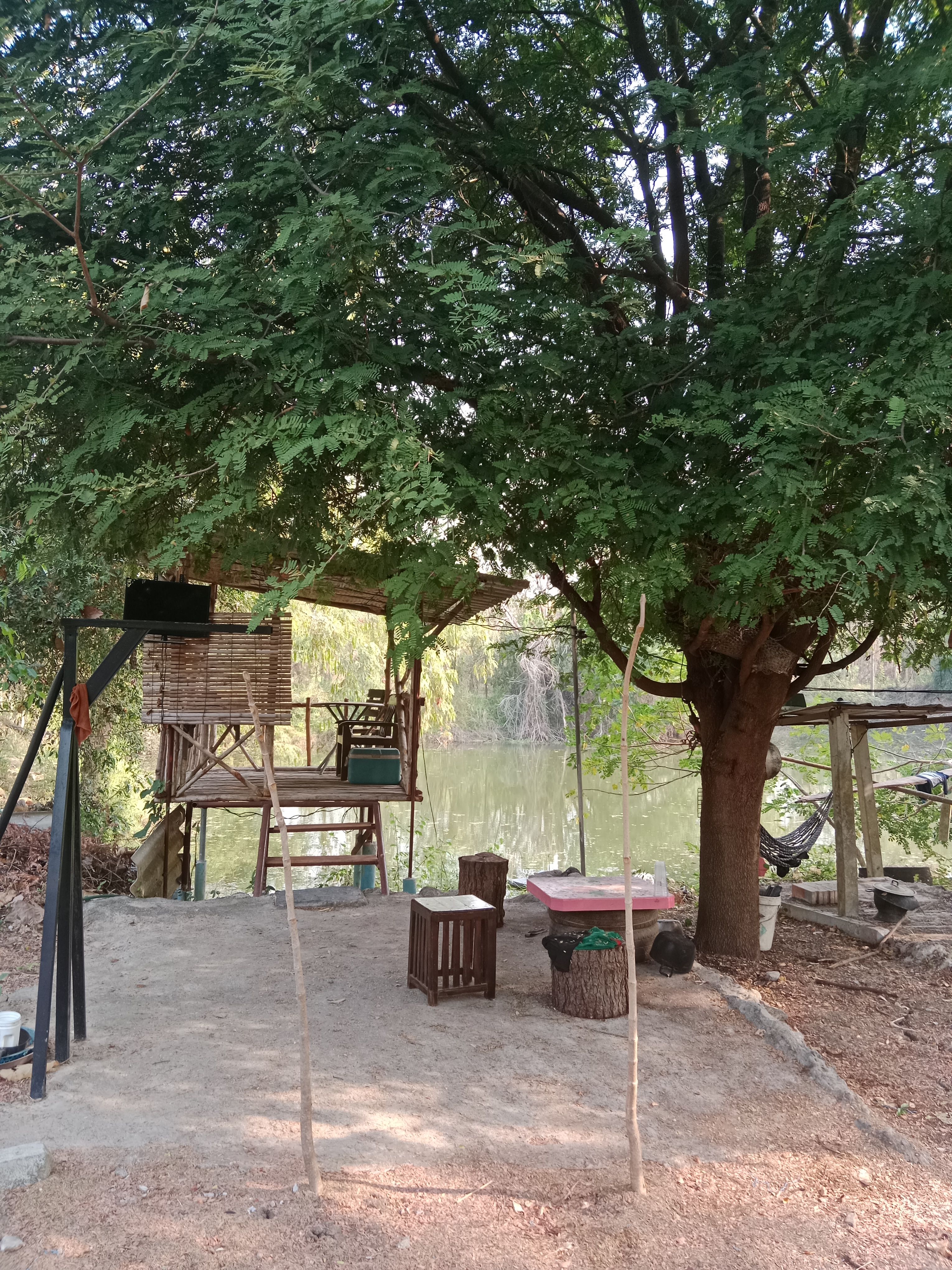 บ้านพร้อมสวนิมน้ำป่าสักใก้ล สภ.วิเชียรบุรี1.5กม.ขายถูก