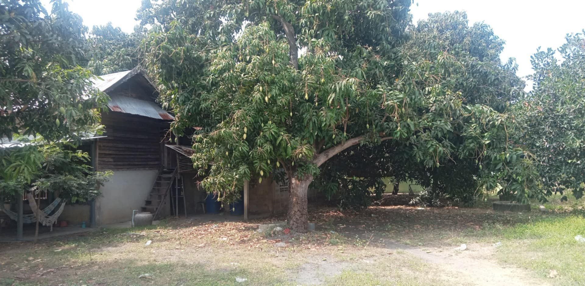 ขายที่ดิน ทำเลดี ที่สวย สะดวกสบาย น้ำไฟถึง  ในหมู่ 3 ต.ทองเอน อ.อินทร์บุรี จ.สิงห์บุรี