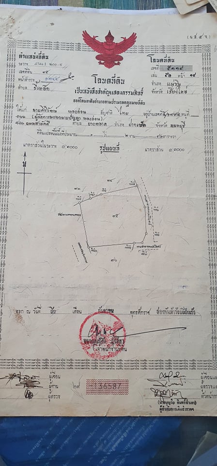 ขายที่ดินเปล่า แม่ริม เชียงใหม่ 1-2-42