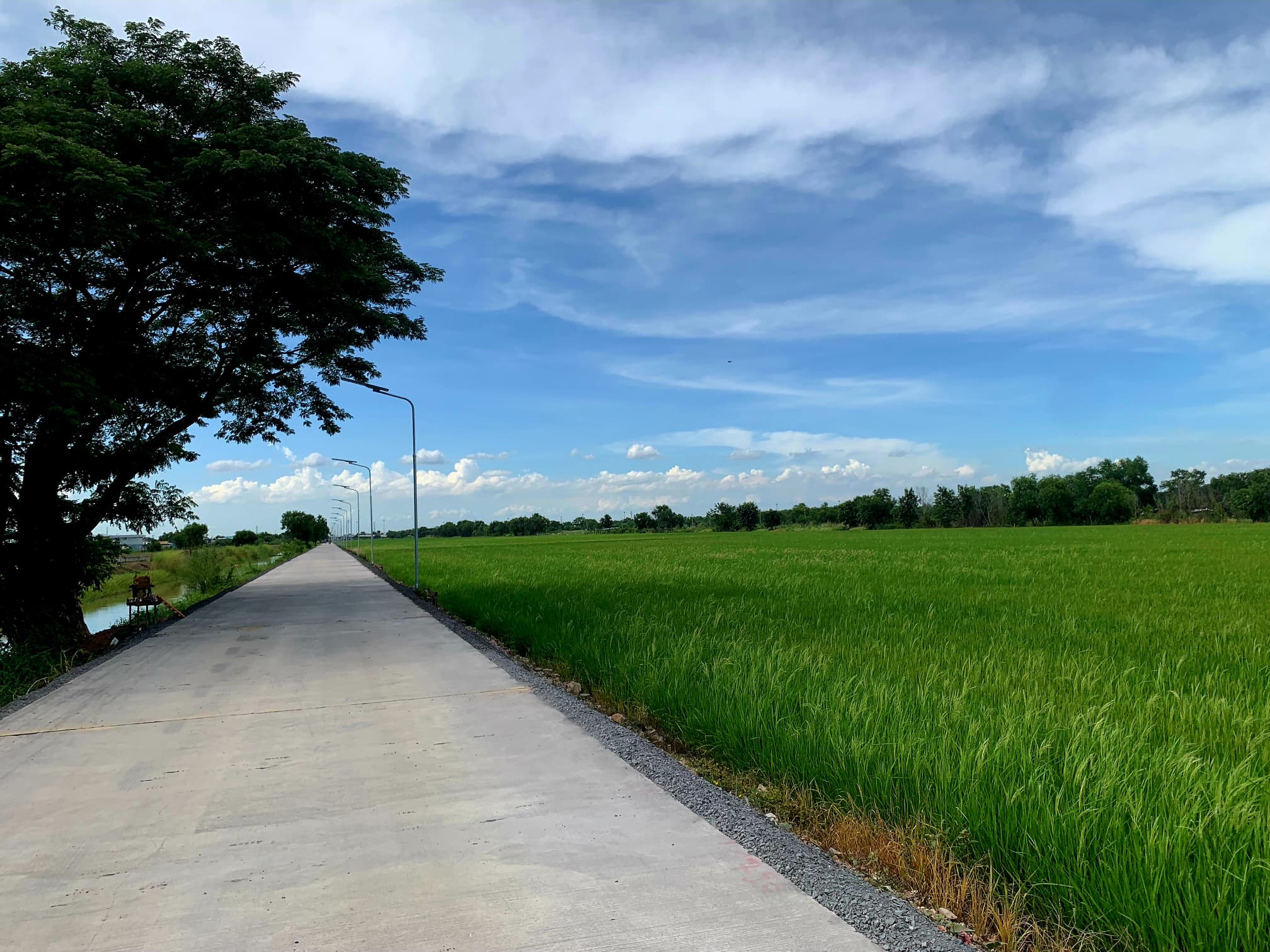 ขายที่ดินปทุมธานี คลองหลวง 20-2-58