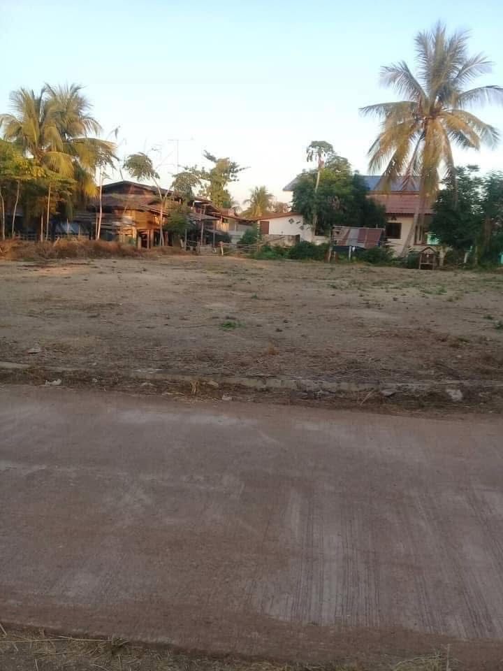 ขายที่ดินสุโขทัย อำเภอศรีสัชนาลัย ขายด่วน ที่ดินสุโขทัย