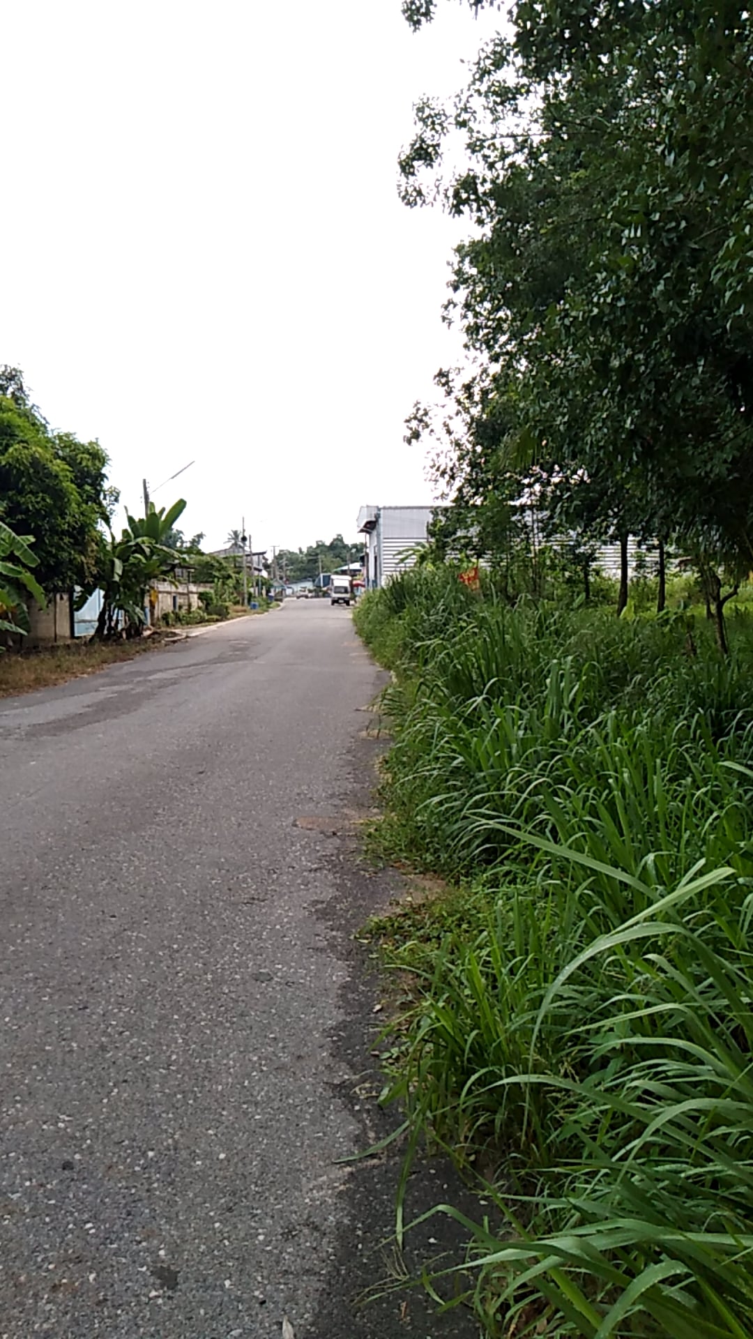 ขายที่ดินชลบุรี จ.ชลบุรี อ.หนองใหญ่ 3-3-69 ไร่