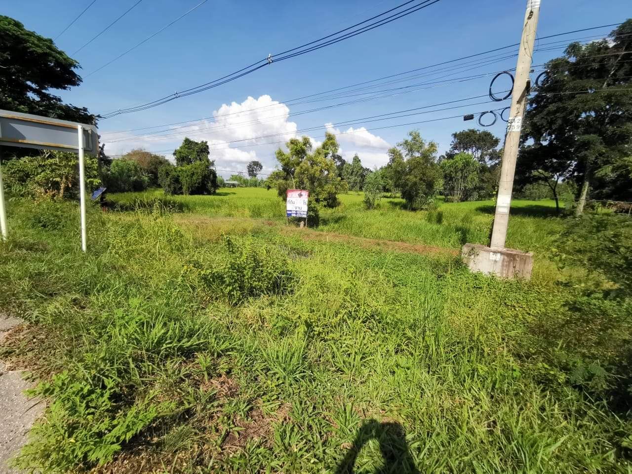 ขายด่วน​ที่ดิน(ที่นา)​เส้นบายพาส อำเภอเมืองมหาสารคาม
