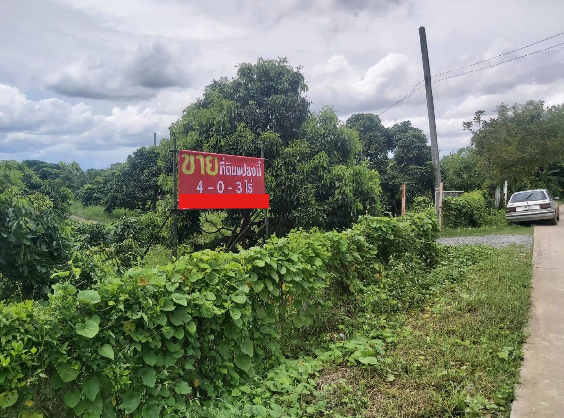 ขายที่ดินเชียงใหม่ สารภี 4 ไร่ พร้อมสวนลำไย (4-1-47) บ้านฮ่องกอกใกล้ ถ.ซุปเปอร์ไฮเวย์ เชียงใหม่ - ลำปาง ต.สารภี อ.สารภี จ.เชียงใหม่ 