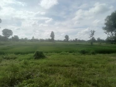 ขายที่ดินอุบลฯ เดชอุดม 28-1-34